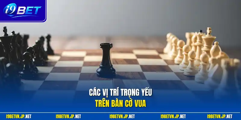 Các vị trí trọng yếu trên bàn cờ vua