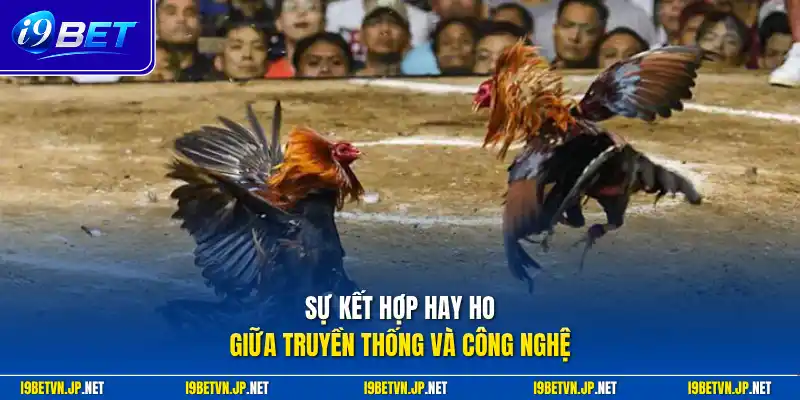 Sự kết hợp hay ho giữa truyền thống và công nghệ