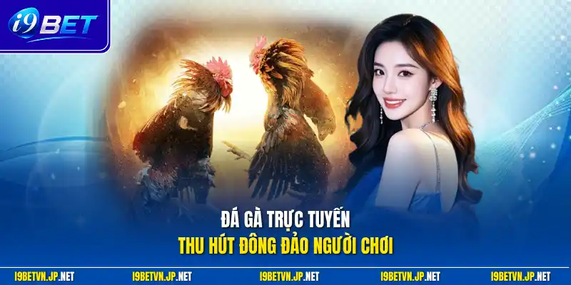 Đá gà trực tuyến thu hút đông đảo người chơi